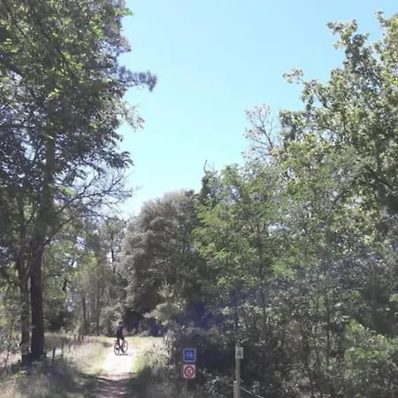 Au Pied De La Foret Domaniale *